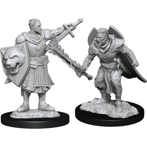 Pathfinder Deep Cuts Miniatures: Male Human Champion W14 Pathfinder Deep Cuts Miniatures: Male Human Champion W14