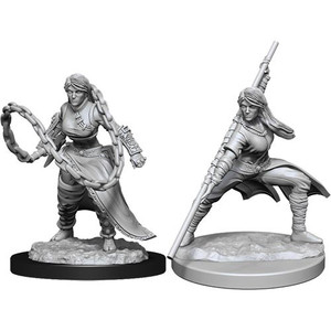 D&D Nolzur's Miniatures: Human Monk Female W14 D&D Nolzur's Miniatures: Human Monk Female W14