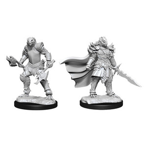 D&D Nolzur's Miniatures: Dragonborn Fighter Female W15 D&D Nolzur's Miniatures: Dragonborn Fighter Female W15