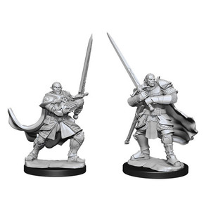 D&D Nolzur's Miniatures: Half-Orc Paladin Male W15 D&D Nolzur's Miniatures: Half-Orc Paladin Male W15