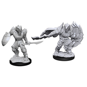 D&D Nolzur's Miniatures: Dragonborn Fighter Male W15 D&D Nolzur's Miniatures: Dragonborn Fighter Male W15