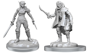 D&D Nolzur's Miniatures: Elf Rogue & Half-Elf Rogue Protégé W19 D&D Nolzur's Miniatures: Elf Rogue & Half-Elf Rogue Protégé W19