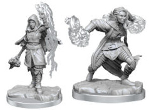 D&D Nolzur's Miniatures: Half-Elf Warlock W20