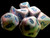 Mini-Polyhedral Dice Set: Festive Pop Art/blue