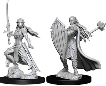 D&D Nolzur's Miniatures: Elf Paladin Female W09