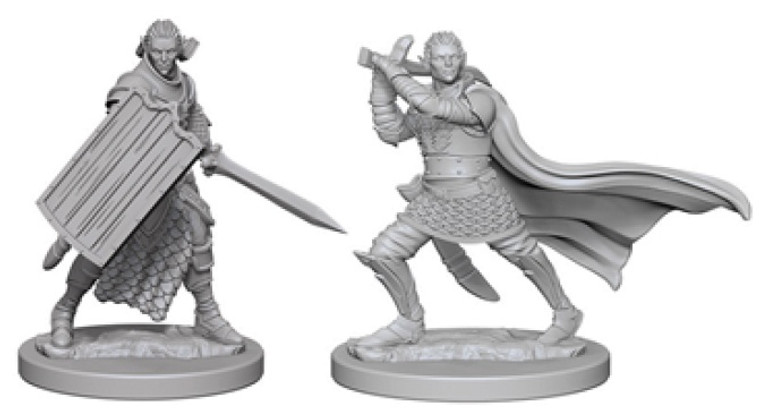 Pathfinder Deep Cuts Miniatures: Elf Male Paladin W02