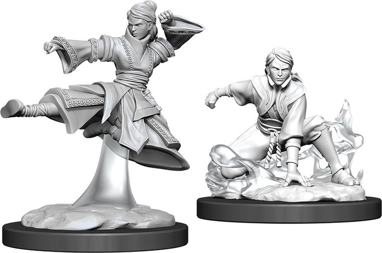 D&D Nolzur's Miniatures: Human Monk Female W11