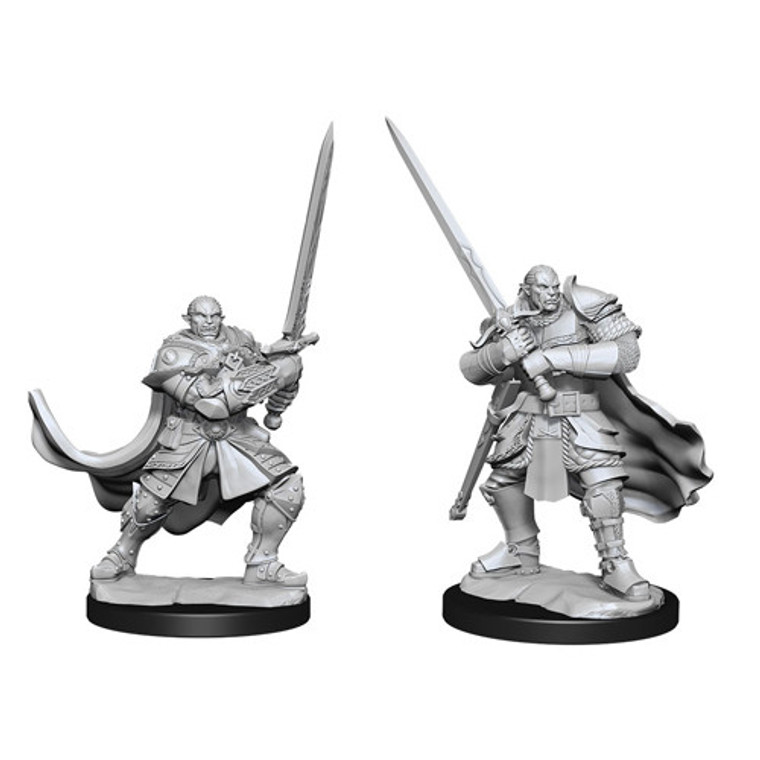 D&D Nolzur's Miniatures: Half-Orc Paladin Male W15
