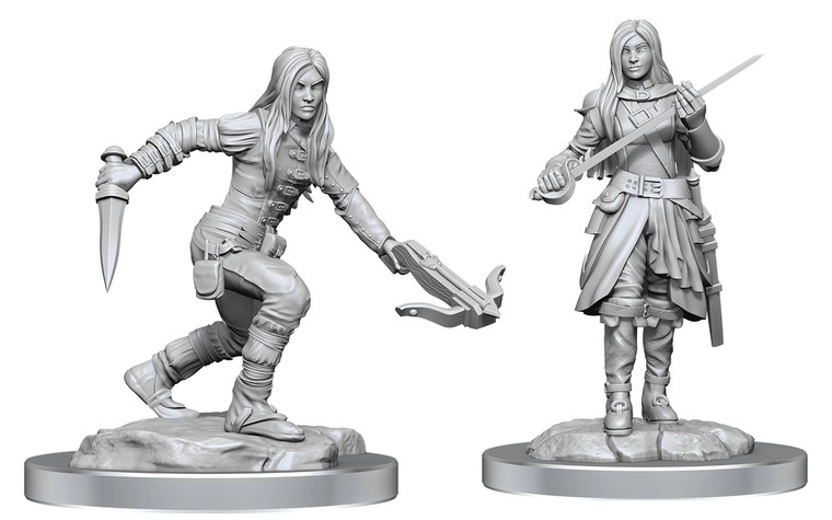 D&D Nolzur's Miniatures: Half-Elf Rogue Female W17