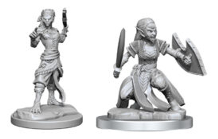 D&D Nolzur's Miniatures: Shifter Fighter W20