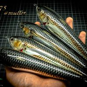 Jack Fin Argo 180 Jack Fin Argo 180