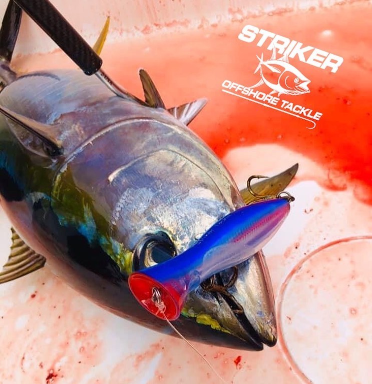 Sea Striker Lures - CHAOS Fishing