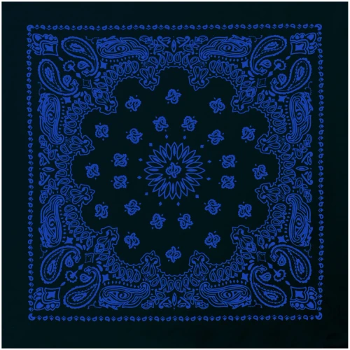 Rothco Trainmen Paisley Bandana - 22" X 22"