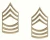 Rothco Master Sergeant Polished Insignia