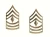 Rothco First Sergeant Polished Insignia