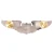 Rothco USAF Pilot Wing Pin