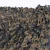 Large Ultra-lite Digital Woodland Net