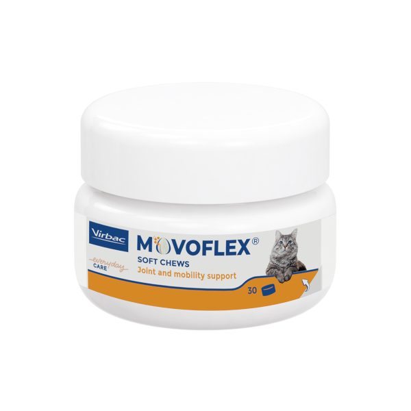 Movoflex kat