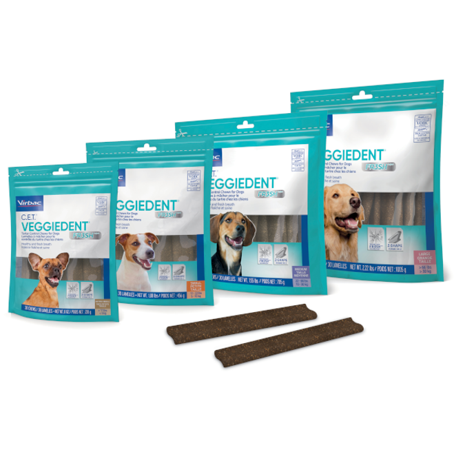 Family-Packshot_Veggiedent-Fresh