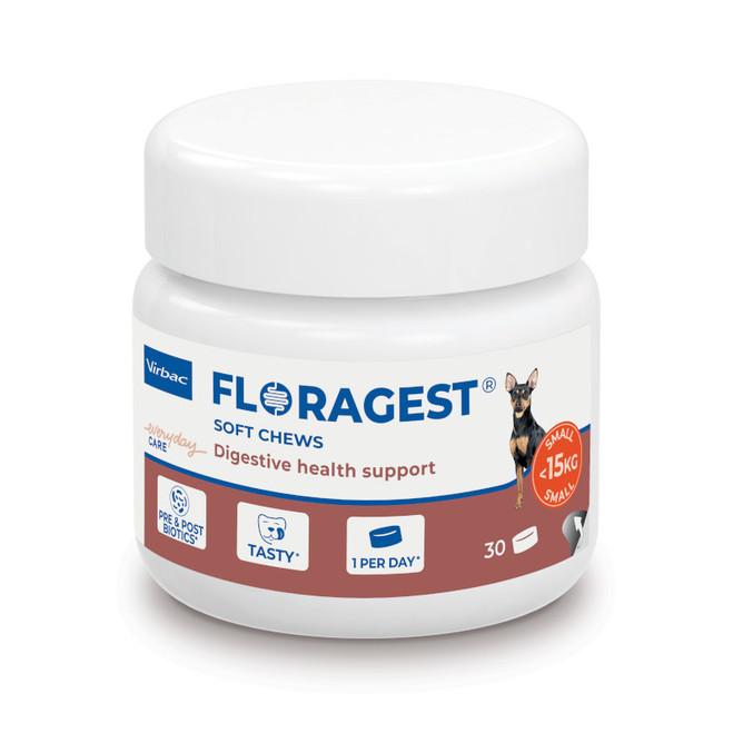 Pot Floragest Small