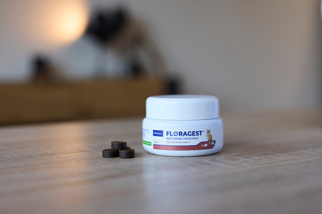 Aliment complémentaire Floragest® Chats