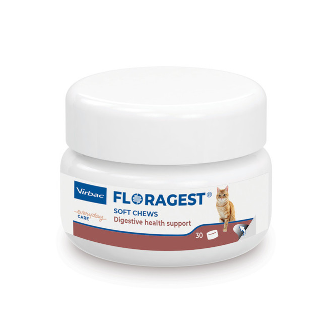 Pot Floragest® S pour chats