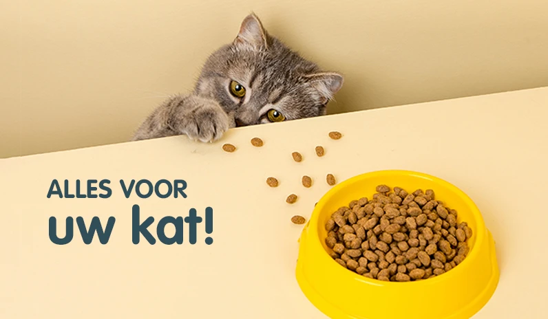 Alles voor je kat