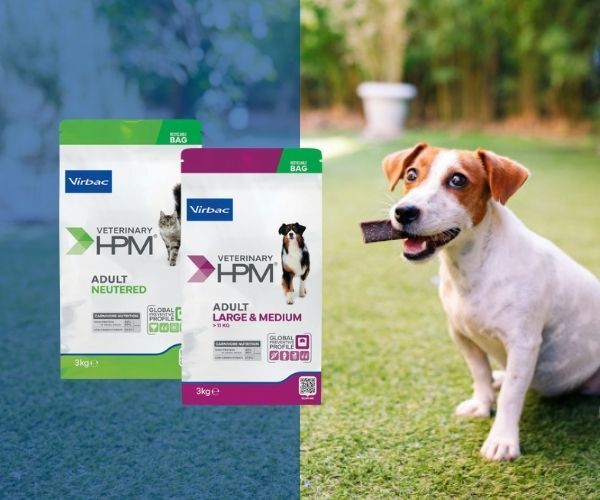 Fysiologische voeding