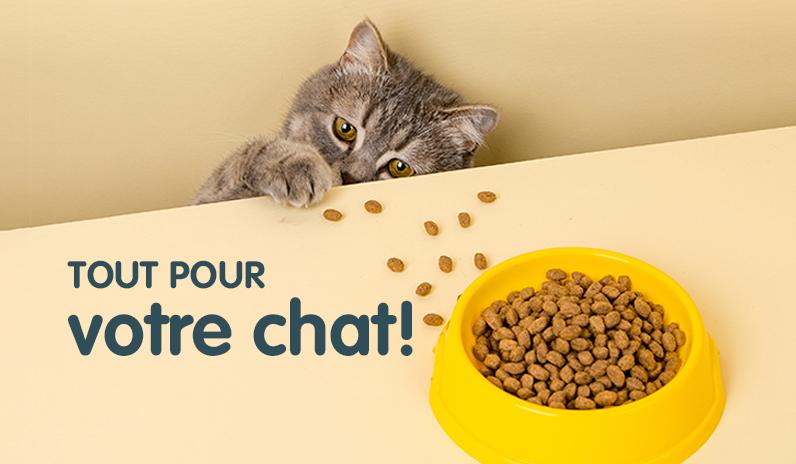Aliments complets pour chats