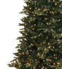 7.5' Slim Geneva Fir Tree - Clear 