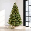  6.5' Waverly Spruce Tree - Clear 