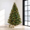 7.5' Waverly Spruce-PT Multi 
