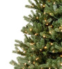 10' Waverly Spruce - PT Multi 