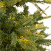  Stockton Spruce 