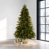  Stockton Spruce 