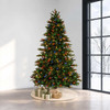 Stockton Spruce 
