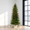 Slim Wexford Spruce 