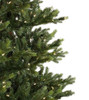 10' Midland Wexford Spruce - Clear LED 