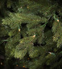 10' Midland Wexford Spruce - Clear LED 