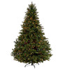 6.5' Ashton Spruce - Multi 