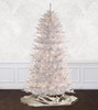 7.5' White Spruce Tree - Multi 