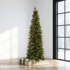 9' Slim Serena Spruce Tree - Clear 