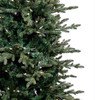 6.5' Slim Anderson Fir Tree - Multi 