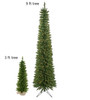 4' Arrow Spruce Tree - Clear 