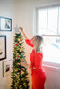 4' Arrow Spruce Tree - Clear 