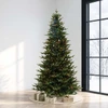 9' Sierra Mountain Spruce Tree - Multi 