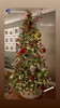 10' Sierra Mountain Spruce Tree - ColorChange LED 