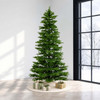 Southaven Spruce (Clearance) 