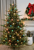 7.5' New Haven Fir Tree - Unlit 