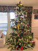 New Haven Fir 